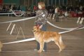 phoca_thumb_l_n_9804