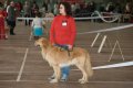 phoca_thumb_l_n_9816