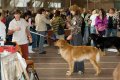 phoca_thumb_l_n_9834