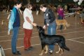 phoca_thumb_l_n_9848