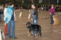 phoca_thumb_l_n_9849