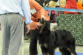 Miranda_3_01-55-06