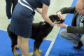 Ruta_3_02-17-15