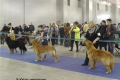 evr2014_14_19-39-21