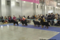 evr2014_15_19-47-23