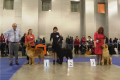 evr2014_1_19-26-14