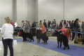 evr2014_4_01-50-56