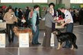 phoca_thumb_l_phoca_thumb_l_001