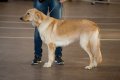 phoca_thumb_l_phoca_thumb_l_006
