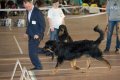 phoca_thumb_l_phoca_thumb_l_013