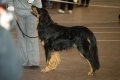 phoca_thumb_l_phoca_thumb_l_021