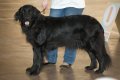 phoca_thumb_l_phoca_thumb_l_055