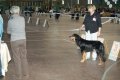 phoca_thumb_l_phoca_thumb_l_064