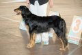 phoca_thumb_l_phoca_thumb_l_065