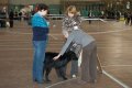 phoca_thumb_l_phoca_thumb_l_090