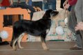 phoca_thumb_l_phoca_thumb_l_093