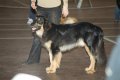 phoca_thumb_l_phoca_thumb_l_101