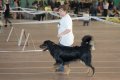 phoca_thumb_l_phoca_thumb_l_104