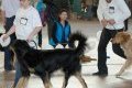 phoca_thumb_m_phoca_thumb_l_027