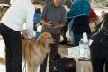 phoca_thumb_m_phoca_thumb_l_029