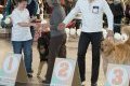 phoca_thumb_m_phoca_thumb_l_033