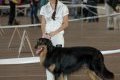 phoca_thumb_m_phoca_thumb_l_036