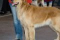 phoca_thumb_m_phoca_thumb_l_038