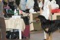 phoca_thumb_m_phoca_thumb_l_040