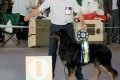 phoca_thumb_m_phoca_thumb_l_047