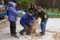 phoca_thumb_l_n_7918