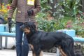 phoca_thumb_l_n_7980