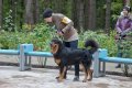 phoca_thumb_l_n_7981