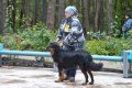 phoca_thumb_l_n_7985