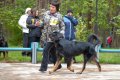 phoca_thumb_l_n_8006