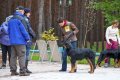 phoca_thumb_l_n_8013