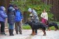 phoca_thumb_l_n_8027