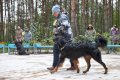 phoca_thumb_l_n_8031