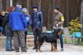 phoca_thumb_l_n_8040