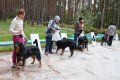 phoca_thumb_l_n_8075