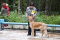 phoca_thumb_l_n_8077