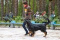 phoca_thumb_l_n_8116