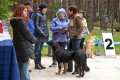 phoca_thumb_l_n_8122