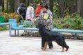 phoca_thumb_l_n_8384