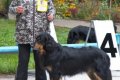 phoca_thumb_l_n_8521