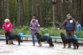phoca_thumb_l_n_8630