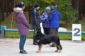 phoca_thumb_l_n_8658