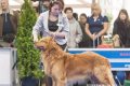 27.03.2012-1