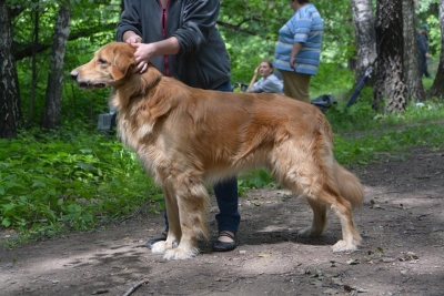 Enormous ABWEHR von Olaf Owner: Elena Orlova