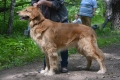 Enormous ABWEHR von Olaf Owner: Elena Orlova