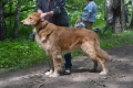 Enormous ABWEHR von Olaf Owner: Elena Orlova